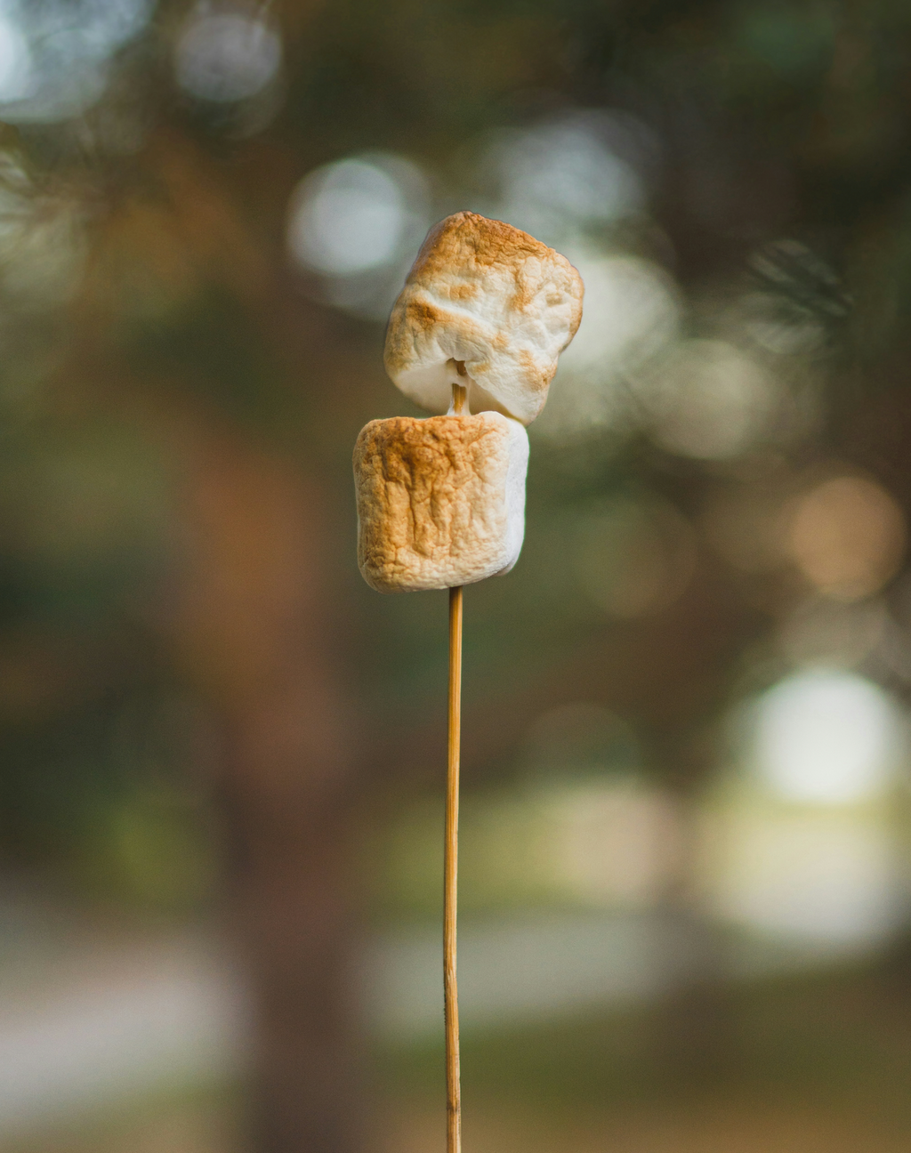 Exquisite Signature Toasted Marshmallow 50ml Perfume Oil Dropper