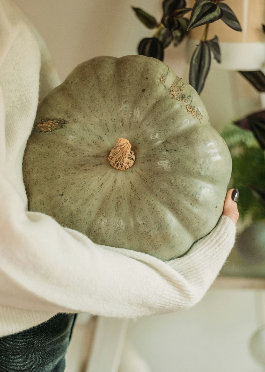 Refreshing Gentle Sage Pumpkin 8.45 oz Liquid Hand Soap