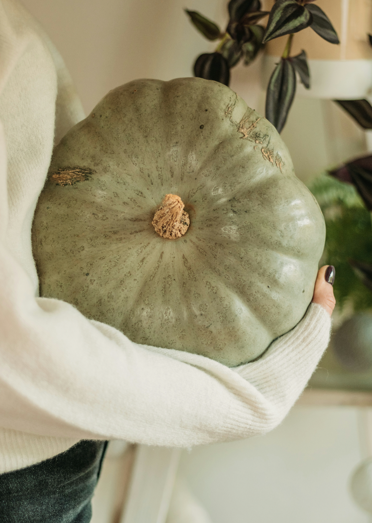 Refreshing Gentle Sage Pumpkin 8.45 oz Liquid Hand Soap