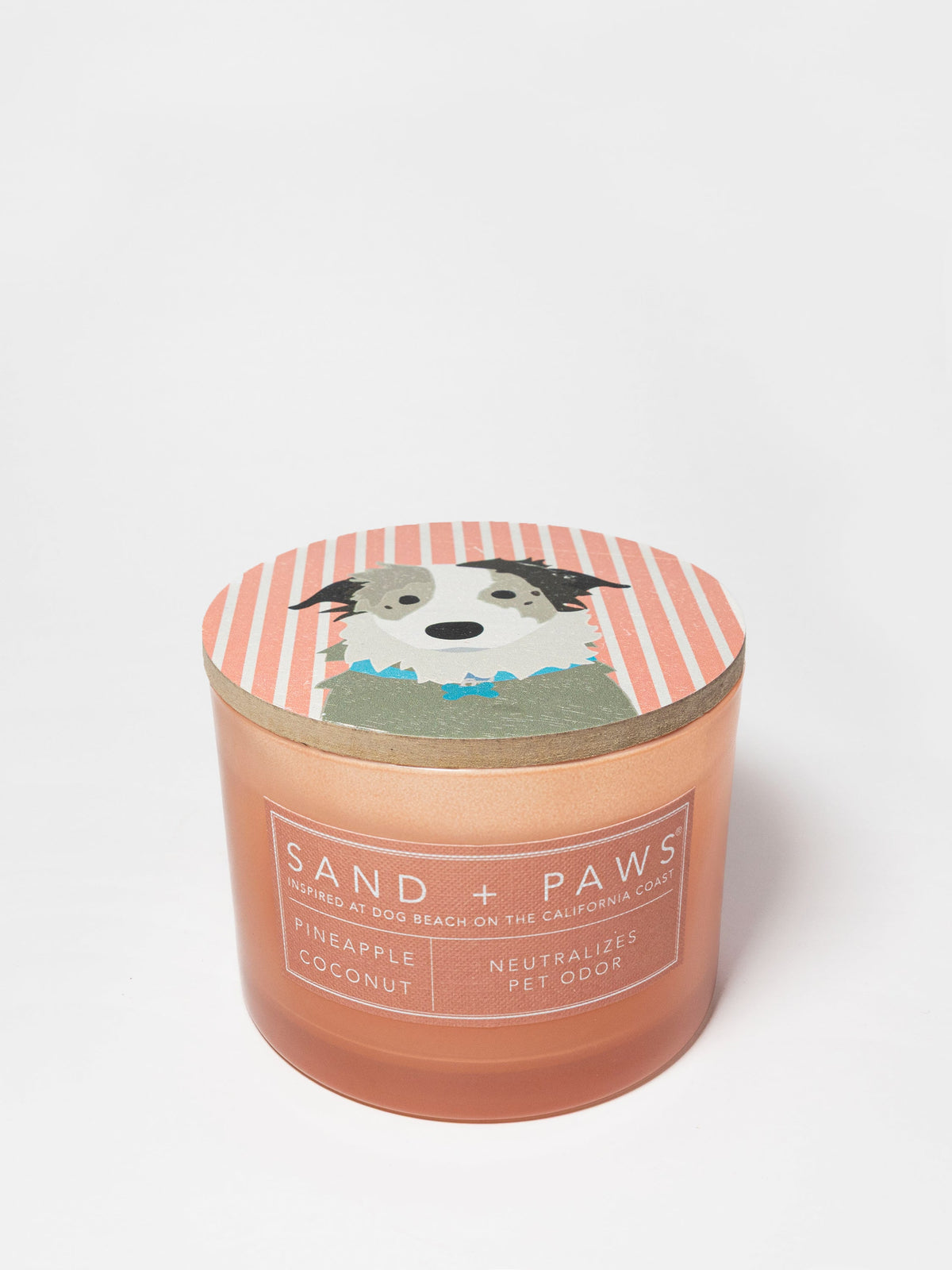 Premium Cozy Sand + Paws Pineapple Coconut 12 oz scented candle