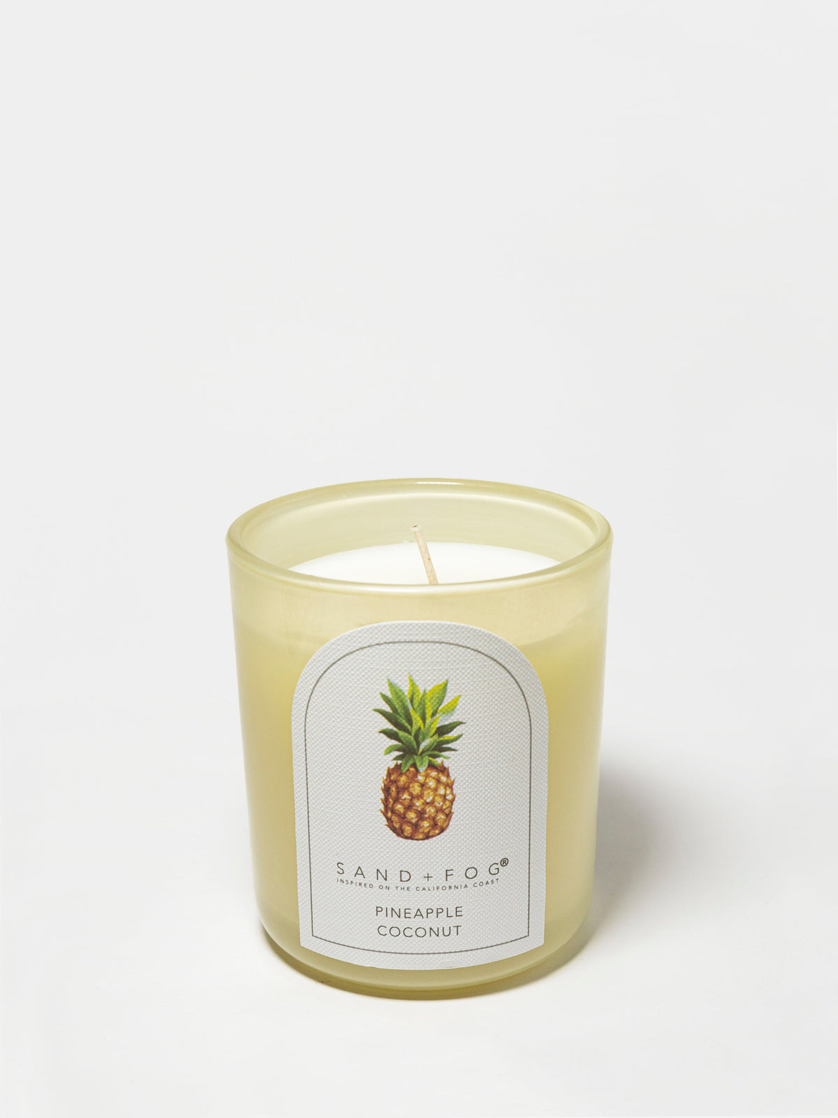 Premium Cozy Pineapple Coconut 10 oz scented candle