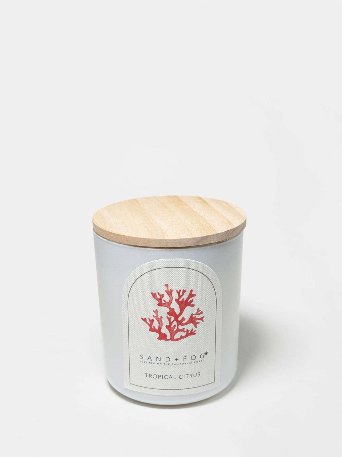 Premium Cozy Tropical Citrus 10 oz scented candle