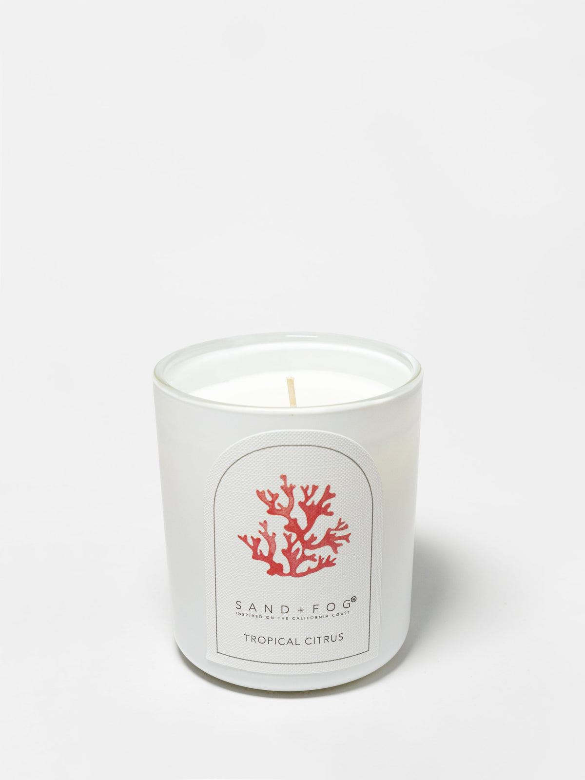Premium Cozy Tropical Citrus 10 oz scented candle
