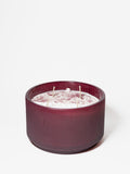 Premium Cozy Cranberry Evergreen 24 oz scented candle