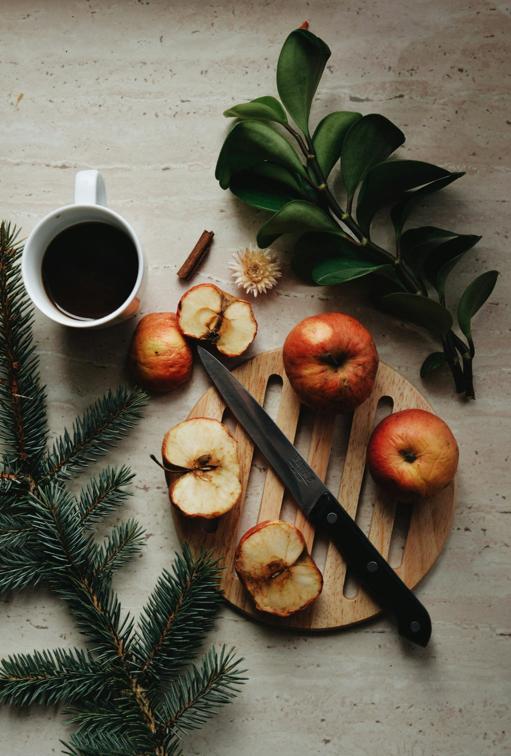 Premium Cozy Apple Spice 12 oz scented candle