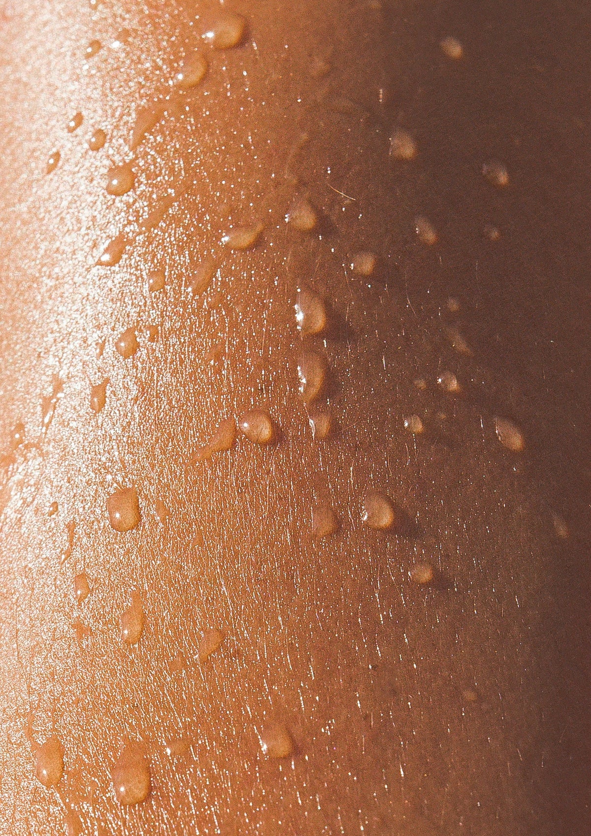 Alluring Elegant Coastal Bloom 100 ml Eau de Toilette