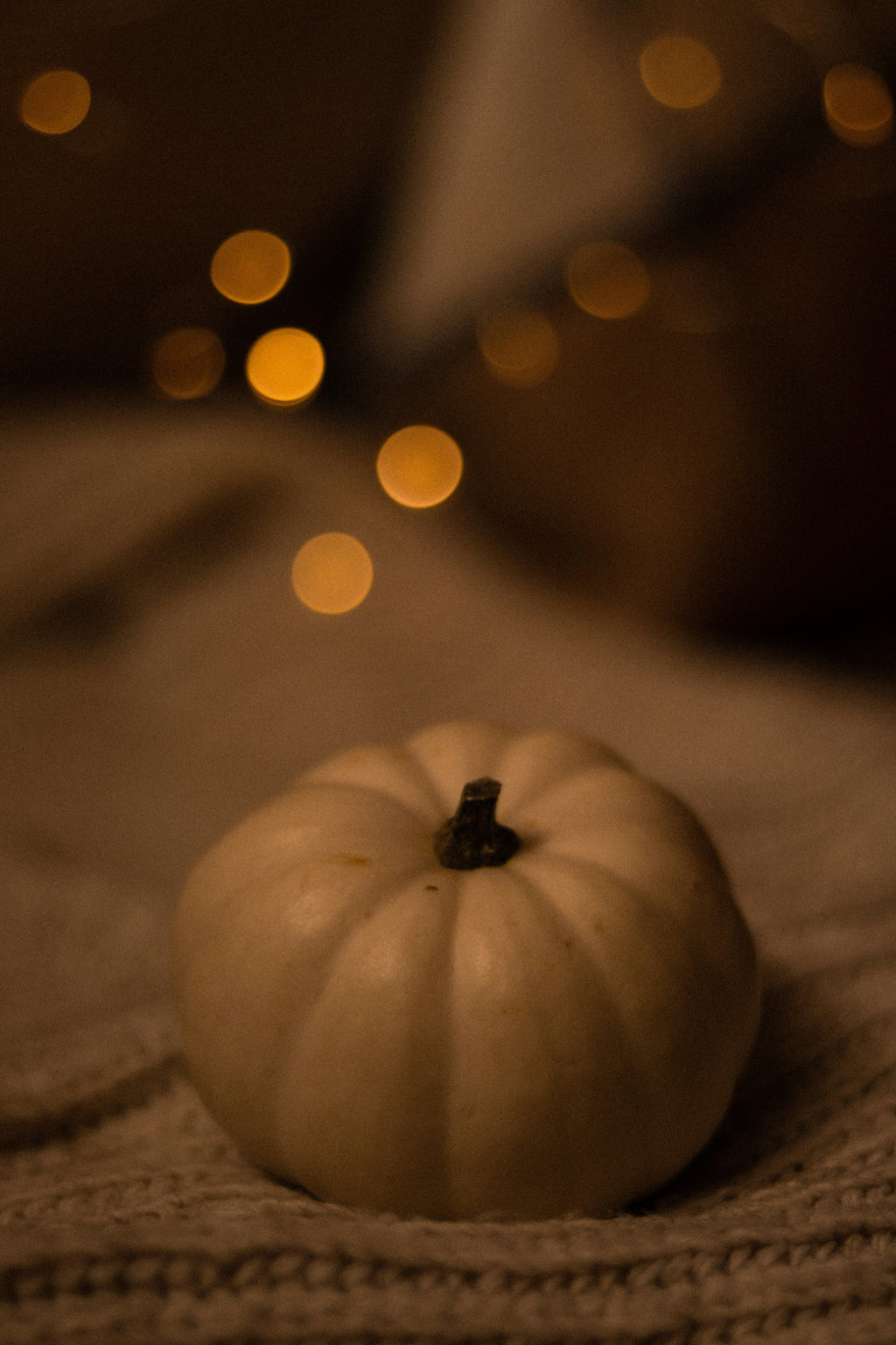 Premium Cozy Pumpkin & Vanilla 12 oz scented candle