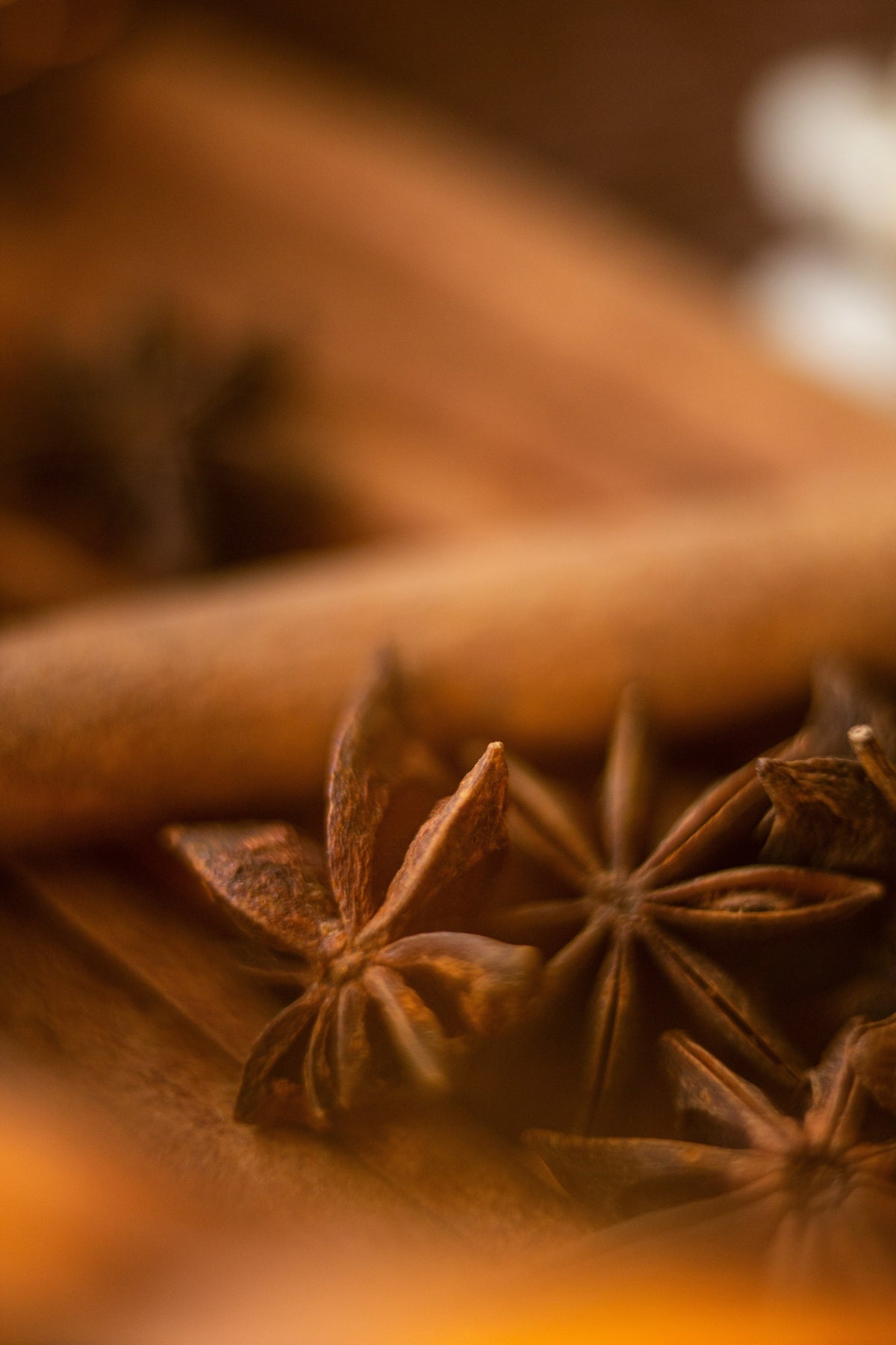 Exquisite Signature Cinnamon Reserve 50 ml Perfume Oil Dropper